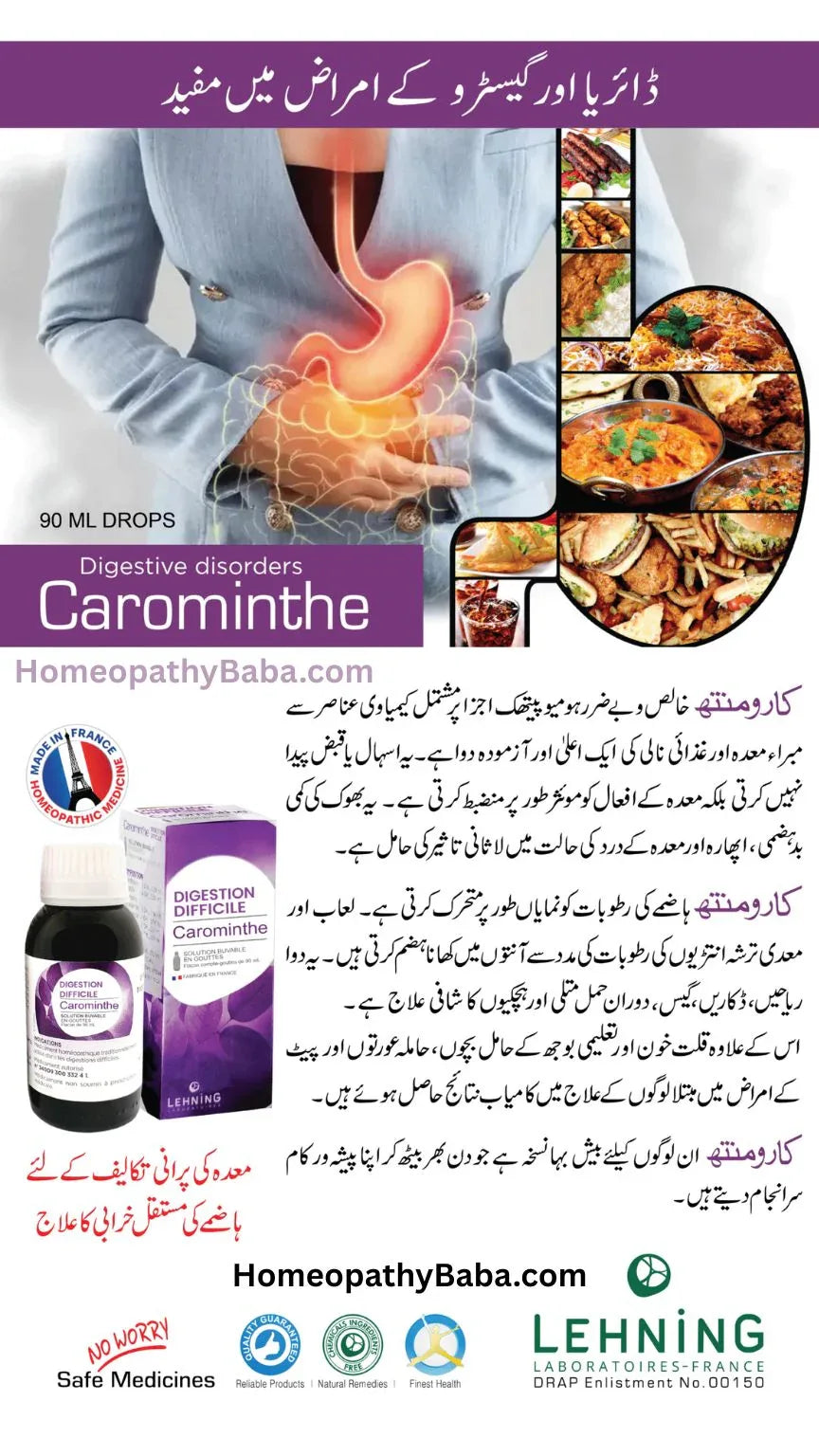 Lehning Carominthe - difficult digestion 90ml