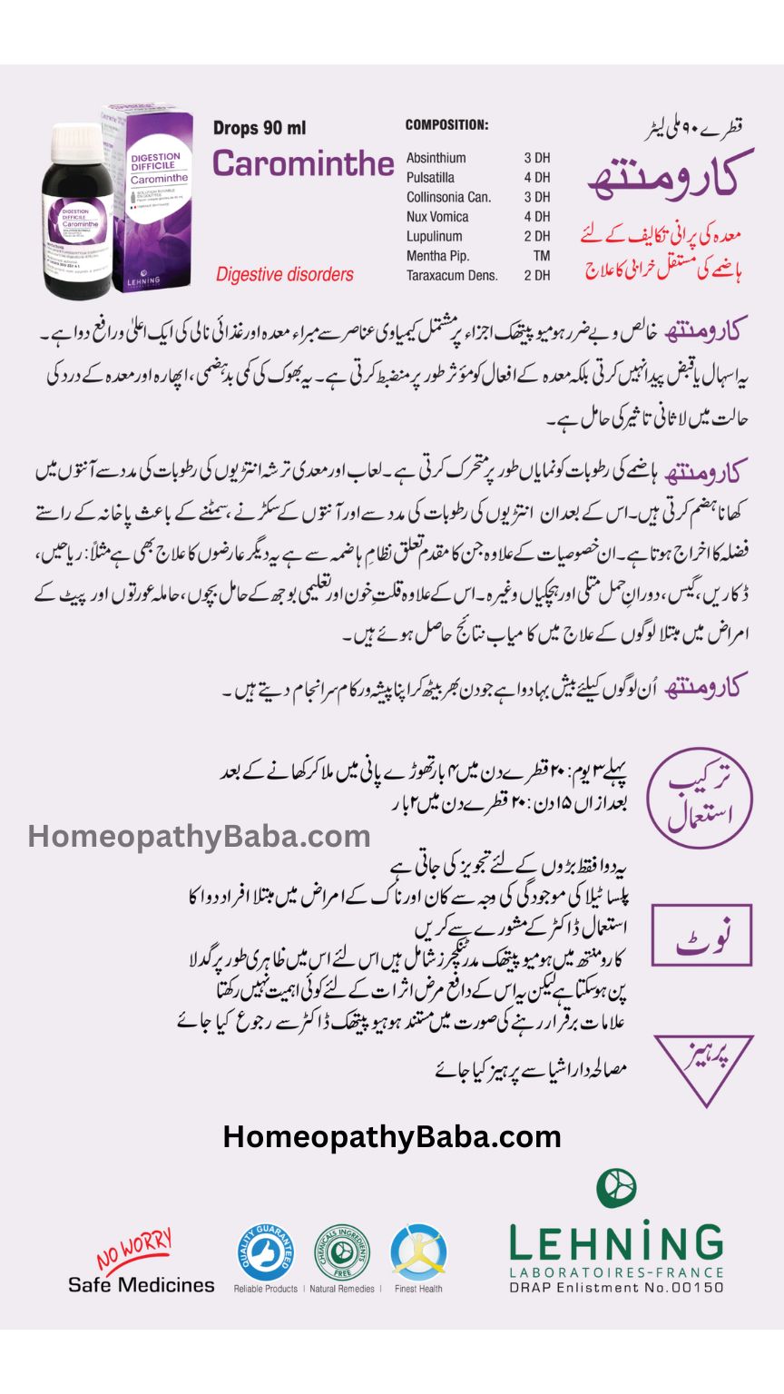 Lehning Carominthe - difficult digestion 90ml