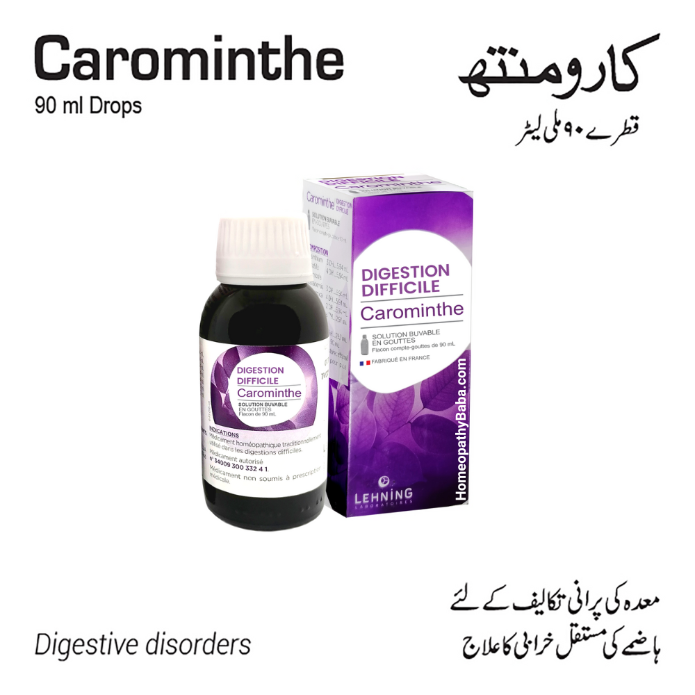 Lehning Carominthe - difficult digestion 90ml