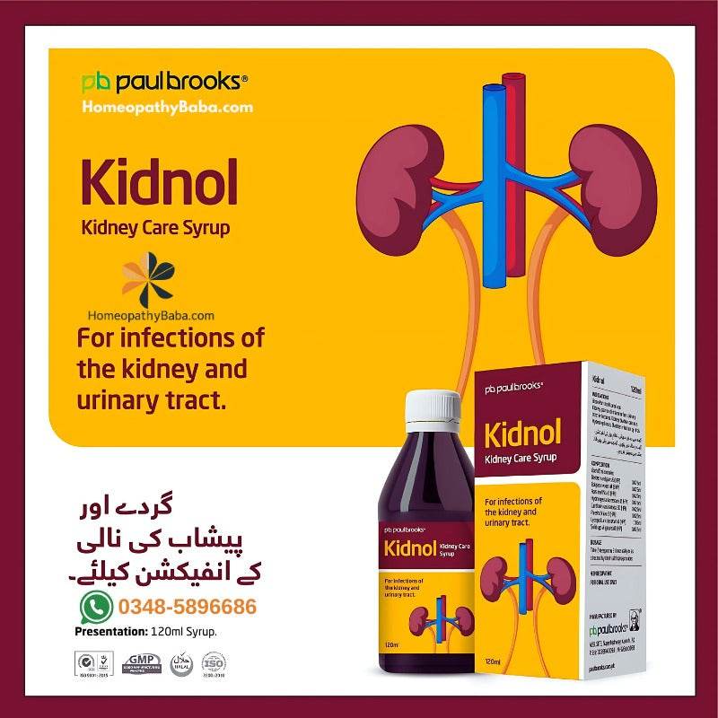 Paul Brooks Kidnol Syrup 120ml - HomeopathyBaba.Com