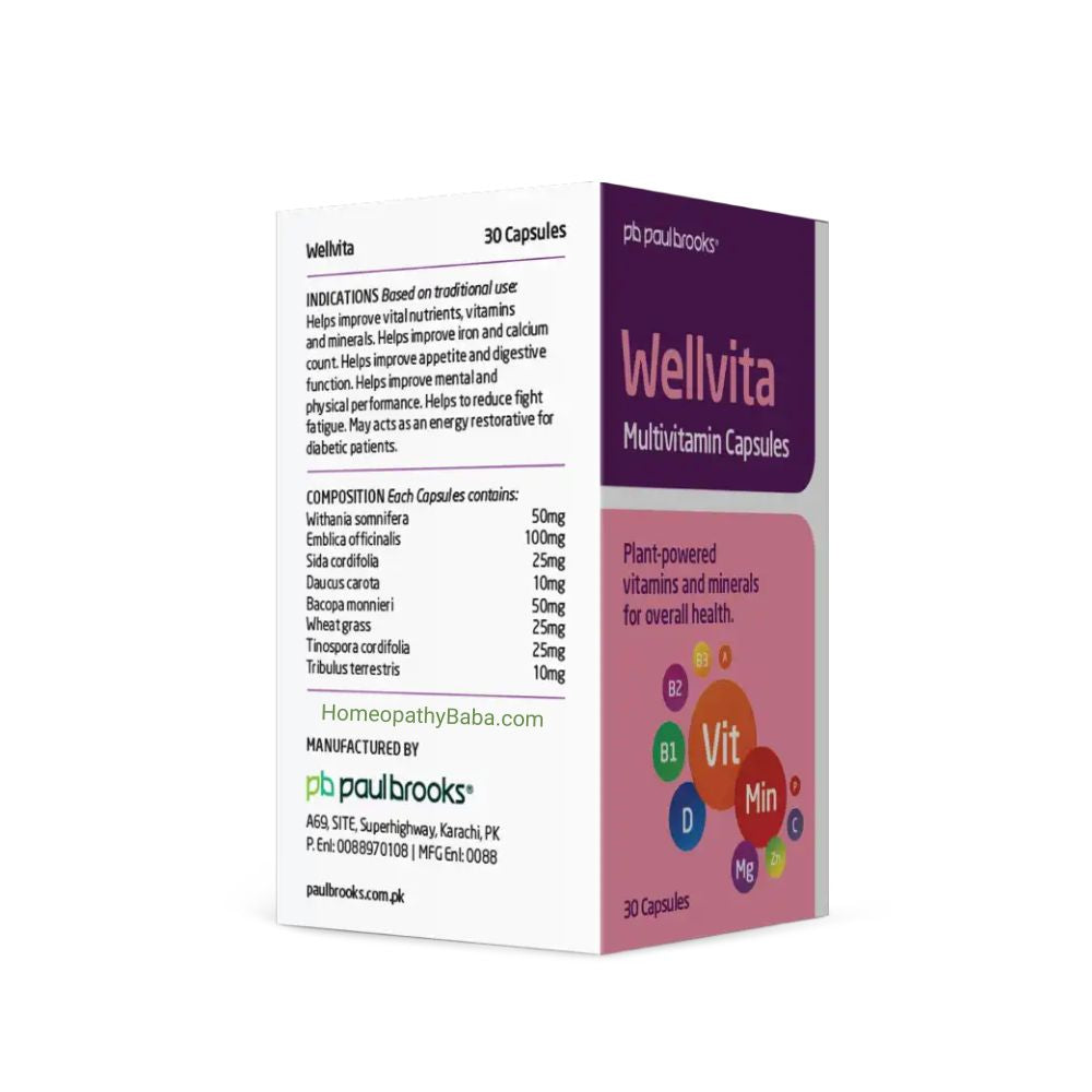 Paul Brooks Wellvita Capsules for Multivitamin & Mineral Support | HomeopathyBaba.com