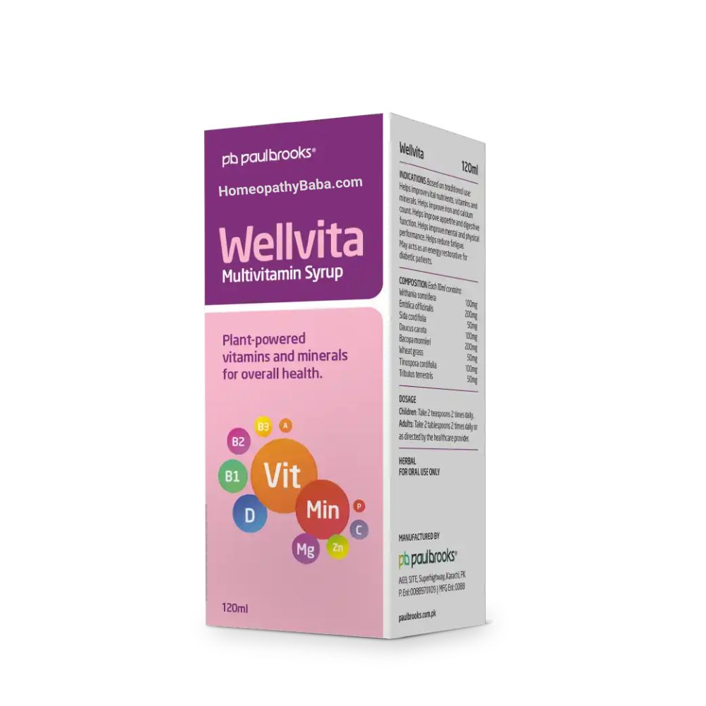 Paul Brooks Wellvita Syrup for Multivitamin & Mineral Support | HomeopathyBaba.com