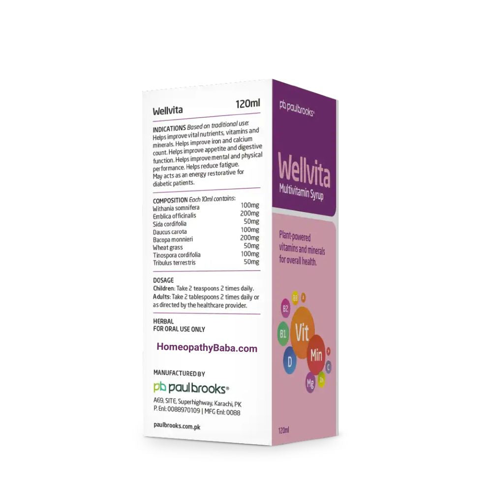 Paul Brooks Wellvita Syrup for Multivitamin & Mineral Support | HomeopathyBaba.com