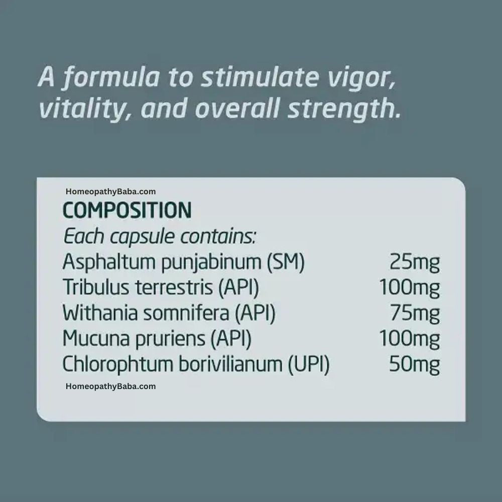 Paul Brooks Salajeet Capsules for male vitality and stamina support | HomeopathyBaba.com