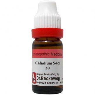Caladium Seguinum 30