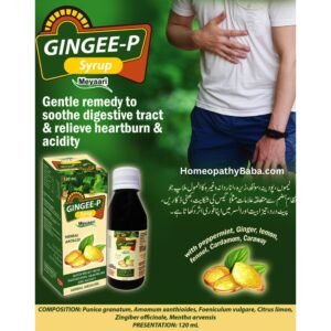 GINGEE-P SYRUP