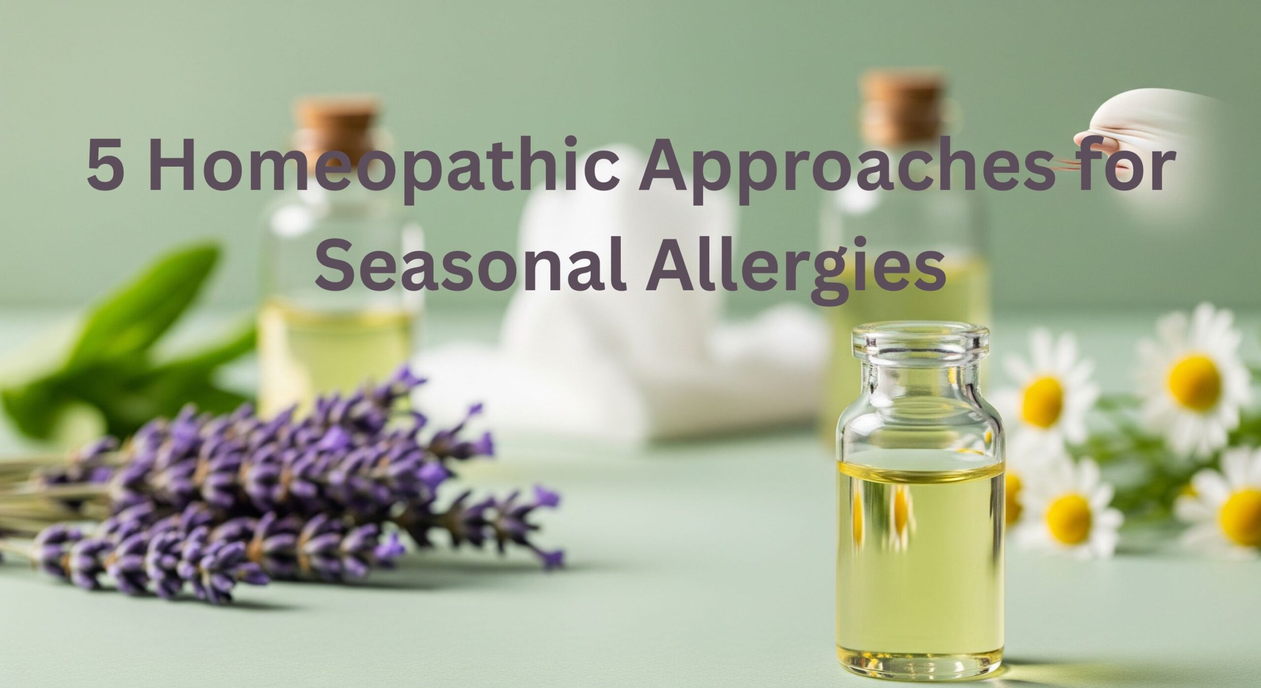 5 Homeopathic Approaches for Seasonal Allergies